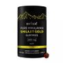 Pure Himalayan Shilajit Gummies Immune Support with Ashwagandha Image 8