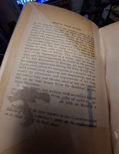 D H Lawrence Selected Letters