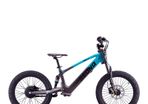 Sedna SX20