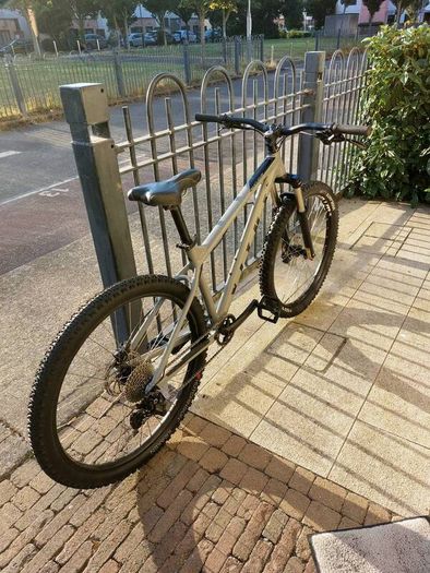 Vitus Nucleus hardtail MTB
