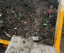 Free topsoil take as much as a little as you want
