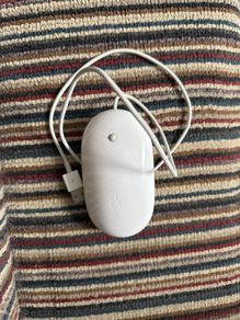 apple mouse