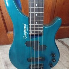 Tanglewood rebel 4k