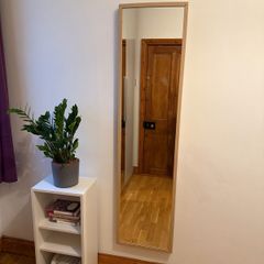 Nissedal mirror
