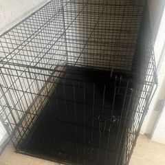 XL dog crate