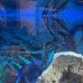 Aquarium Juwel vision 180 curved full set Image 5