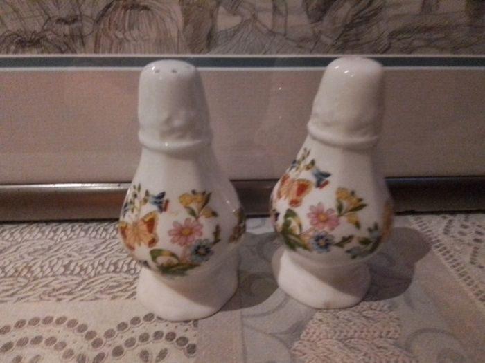 Aynsley Cottage Garden salt& Pepper Set