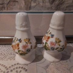 Aynsley Cottage Garden salt& Pepper Set