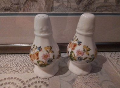 Aynsley Cottage Garden salt& Pepper Set