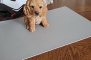 Dog ornament
