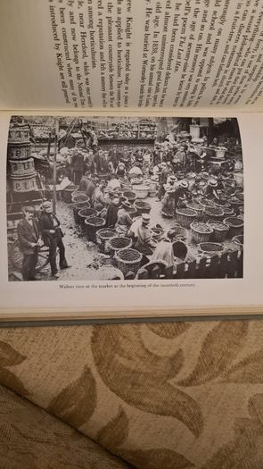 The Early Horticulturists. By Ronald Webber. Printed By David & Charles Newton Abbot. Vintage 1968 Hardback In Good Condition.