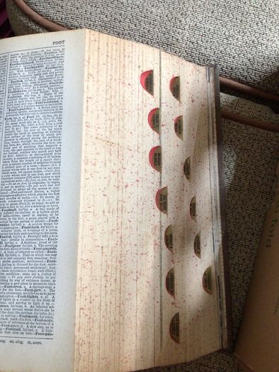 The Standard  Book of Essential Knowledge large hardcover book