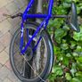 Frog Bike Image 3