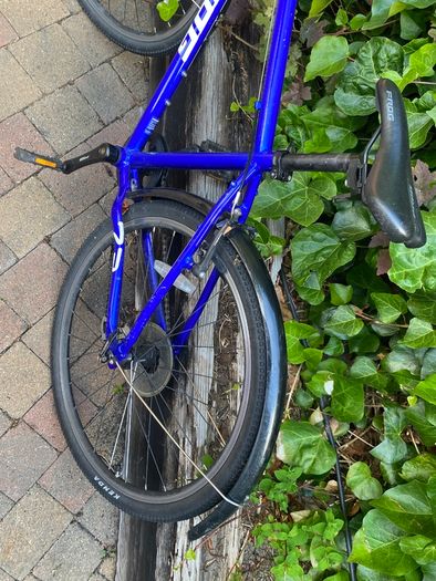 Frog Bike