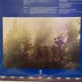 Tangerine Dream - Encore: Tangerine Dream Live Image 9