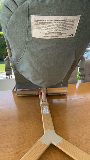 Nested Gravity Bouncer (Excellent Condition in box)