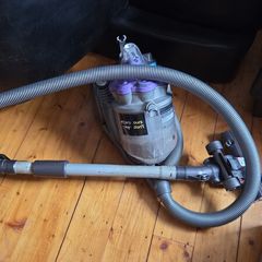 Dyson DC19 Animal