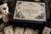 THE DEAD CURIOUS Christmas Advent Oddity Box