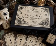 THE DEAD CURIOUS Christmas Advent Oddity Box