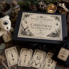 THE DEAD CURIOUS Christmas Advent Oddity Box