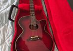 crafter mandolin