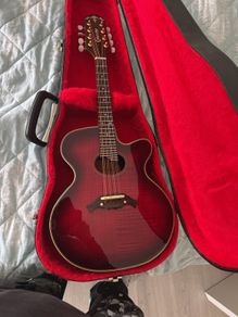 crafter mandolin