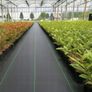 Polytunnel Weed Control Fabric Mypex 135g-2.2m 50m Image 7