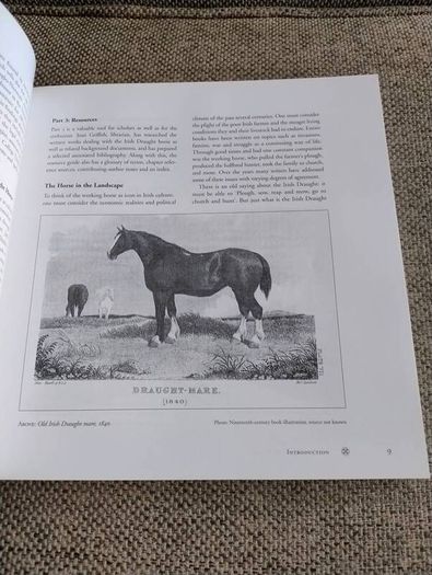 The Irish Draught Horse by Mary McGrath and Joan C Griffith 2005 in very good condition with some signs of wear on the cover see photos FREE STANDARD POSTAGE INCLUDED