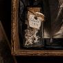 The Forgotten Curator Curators Tray No 1 of 30 Oddity Curiosity Collection Image 5