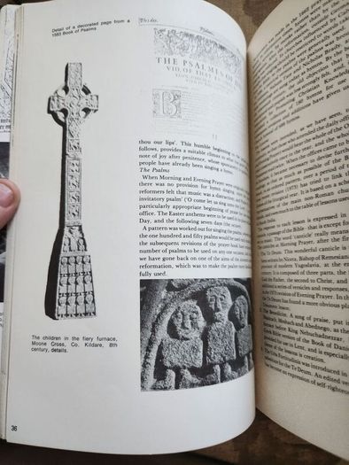You Can Say That Again. Common Prayer In The Church Of Ireland. By Hilary Pyle. First Edition Large Volume Paperback In Good Condition.