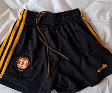 Ulster GAA Shorts