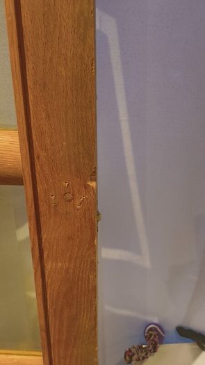 oak door solid plus one with glass