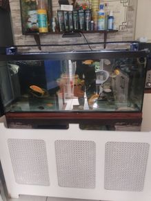 4ft aquarium 300 l just tank no stand and filter and heater