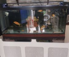4ft aquarium 300 l just tank no stand and filter and heater