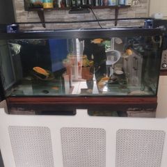 4ft aquarium 300 l just tank no stand and filter and heater