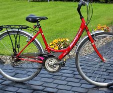 LADIES BIKE used in working order