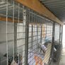 Dog Cage Image 2