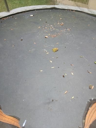 tra10ft trampoline