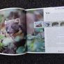 Ireland Mint Stamps : Irish Stamp Year Book - 1992-93 Image 3