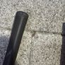 King Cobra Irons Image 8