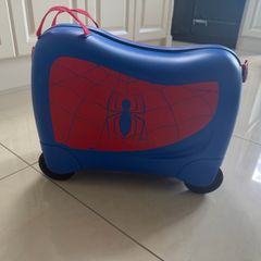 Samsonite Spider-Man Case