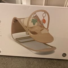 3 -in-1 rocker bouncer