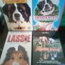 DVD Collection Bundle of dog movies kids classics Beethoven 101 Dalmations Homeward Bound Disney Image 4