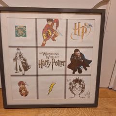 Harry Potter Picture