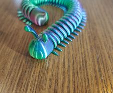 3D Printed Articulated Centipede Caterpillar Fidget Toy