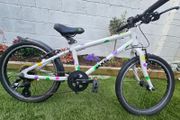 Frog bike
