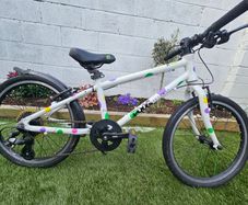 Frog bike