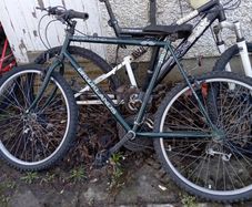 Mens Mountain bike