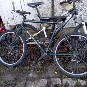 Mens Mountain bike