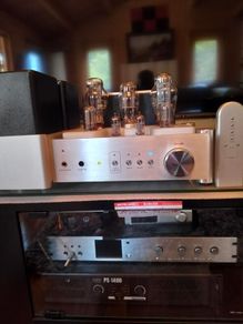 yaqin ms-300